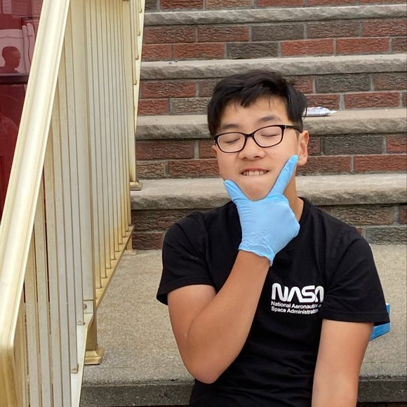 Meet your Posher, Leo - Picture 1 of 1